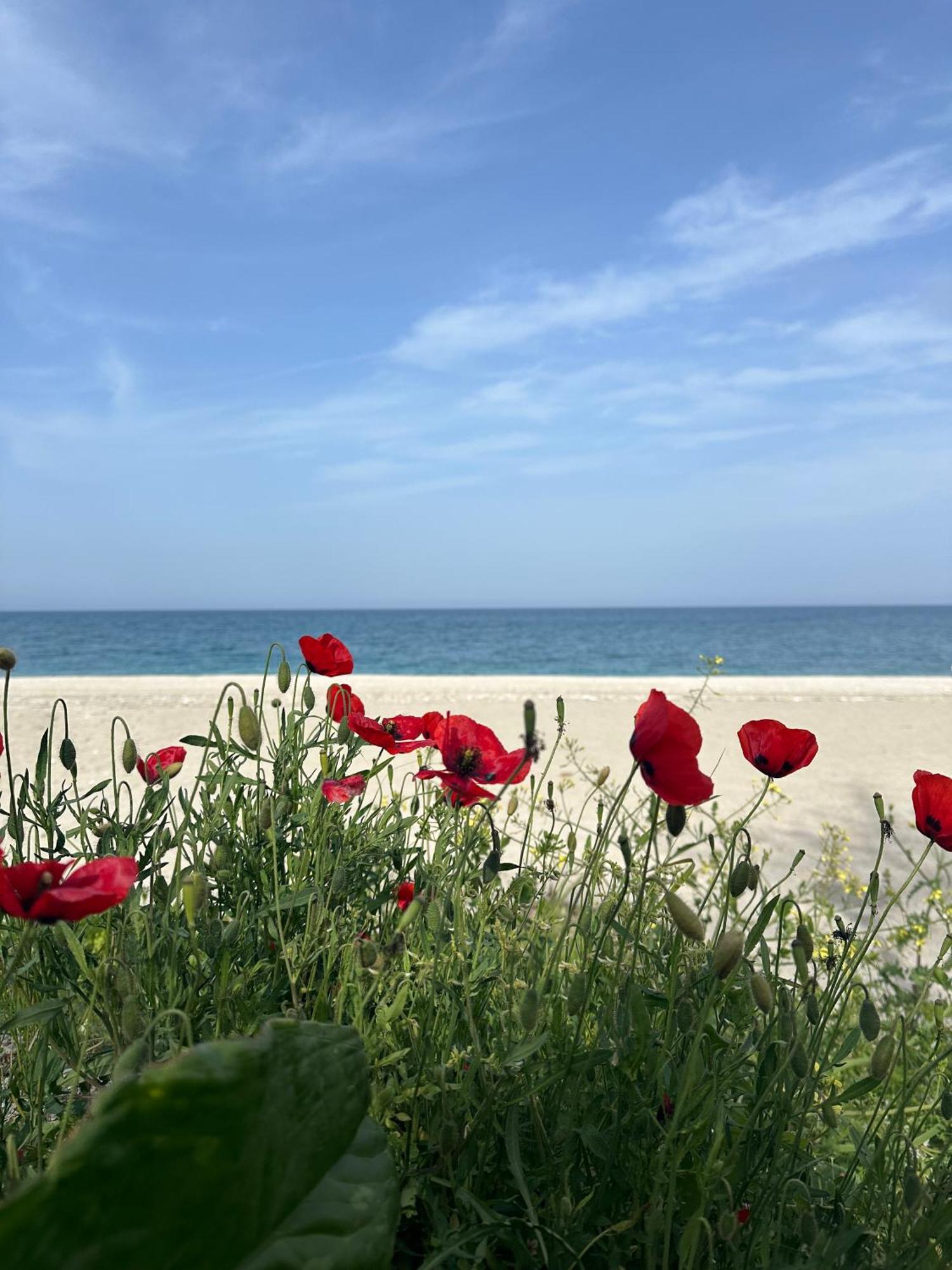 Amelia Beach Apartments Agios Ioannis  المظهر الخارجي الصورة
